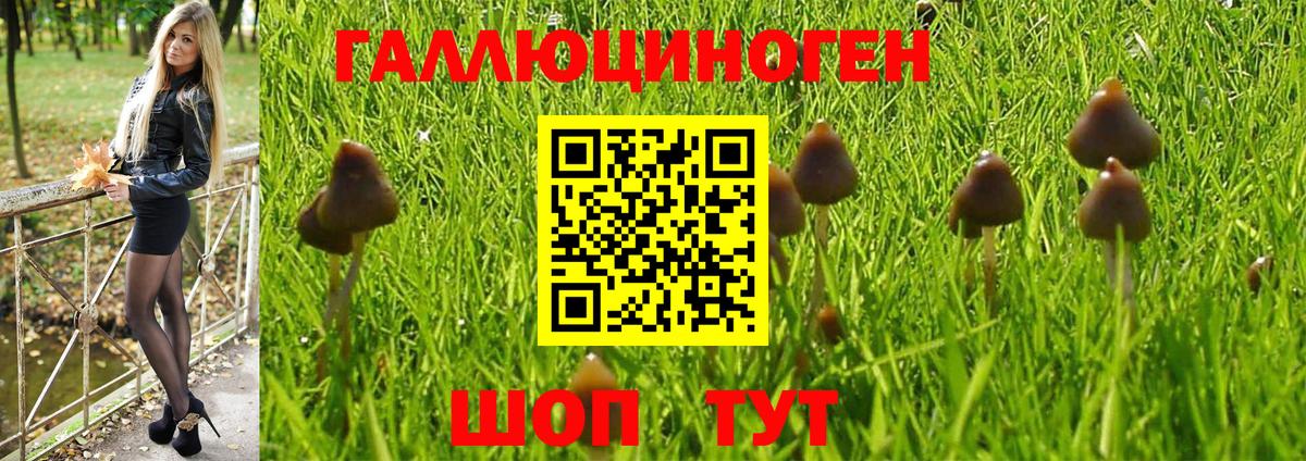 наркота  Галлюциногенные грибы MAGIC MUSHROOMS  Вход с VPN  Назрань 